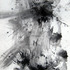 20110423072238-img_3826