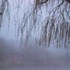 20110423084500-dscn4105