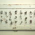 20110423105718-fu