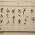 20110423105813-fu