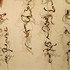 20110423112929-romancingthemetal04