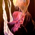 20110423113424-nice_dream