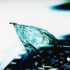 02oriental_bubble_tal_yizrael2007
