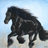 20110423152528-fresian-i