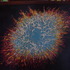 20110423155912-davies_1