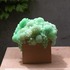 20110423164233-dscn0005