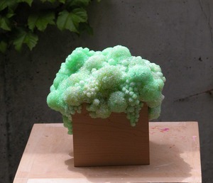 20110423164233-dscn0005
