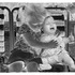 20110423173054-bronstein_marciejan_p1_01