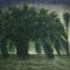 20110424000249-dscn9551