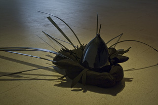 Ellewa,Elio Rodriguez