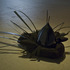 20110424134430-elio_ellewa
