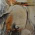 20110424162125-elements_1