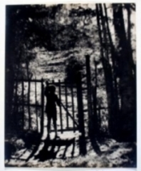 The Gate,BASANT KUMAR BIRLA