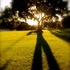 20110425112734-louis_stanley_lawn_shadows