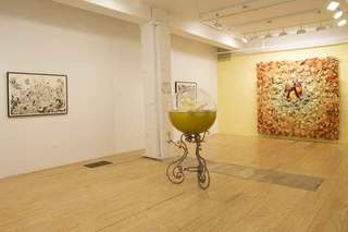 installation view,Andrew Sexton