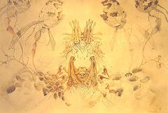 Cloneenolc_for_web