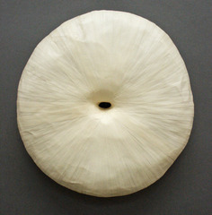 Vergence,Jennifer Reifsneider