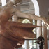 20110426092824-cgcc-_exhibit10