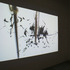 20110427053423-videoscreen