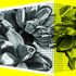 20110427071920-studioquercus_alex_jackson