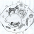 20110427171140-38__39-image