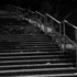 20110427215606-_dsc2479a