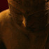 20110427230218-kpb-buddha01b