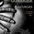 20110428075508-plasturgies