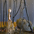 20110428123109-early_fall1
