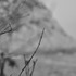 20110428212558-ex-6