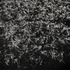 20110429104724-for__01