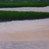 20110429153240-twilight_on_the_marsh__oil_on_canvas__30_x_40