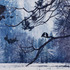20110429184310-forthebirds_hass