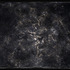 20110430062447-four-generations-of-baterial-growth-on-a-picture-of-black