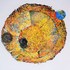 20110430104556-_sun
