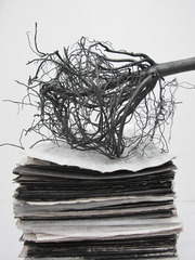 I Especially Love You When You are Sleeping, (detail),Diana Shpungin