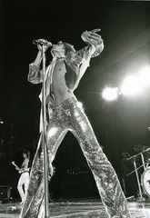 Rod_stewart_lg