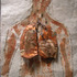 20110501042028-copper-lungs-2
