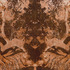 20110501150103-out_there