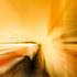 20110501234951-ephemeral_011865