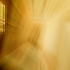 20110501235128-ephemeral_012206