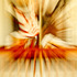 20110501235424-ephemeral_012173lr