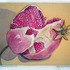 20110502111036-pomegranate_2