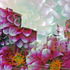 20110502112711-johnny_nicoloro__johnnynicoloro_sbcglobal