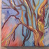 20110502171943-branch_quartet