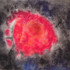 20110502174752-pez_rojo