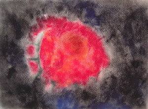 20110502174752-pez_rojo