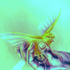 20110503033123-b_i_h