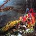 20110503082038-lisa_talbot_8