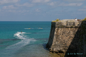 20110503162946-imgp0024